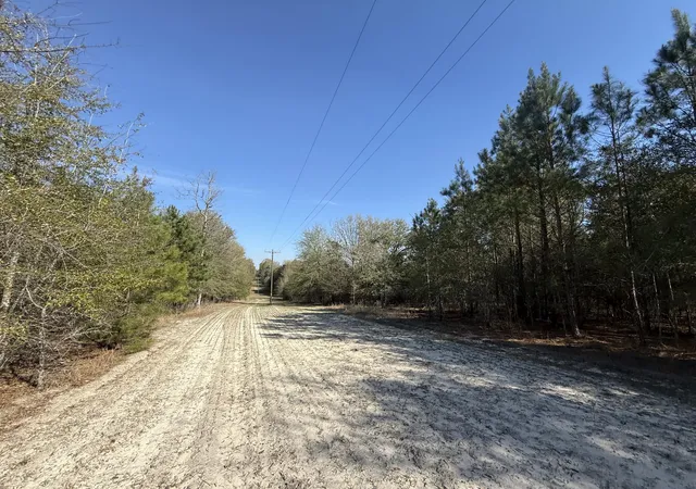 Homes for sale in Barnwell, SC | 0000 S Carolina 3, Barnwell, SC 29812 | MLS# 26010383