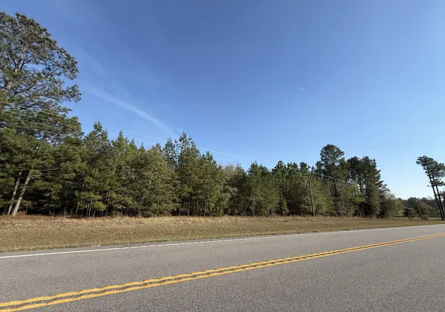 Homes for sale in Barnwell, SC | 0000 S Carolina 3, Barnwell, SC 29812 | MLS# 26010383