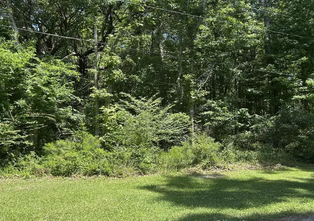 Photo 3 of Land for sale at 0 Pritchard Green Rd, Awendaw, SC 29429 | MLS# 26013614 | Listing updated on 2026-08-31