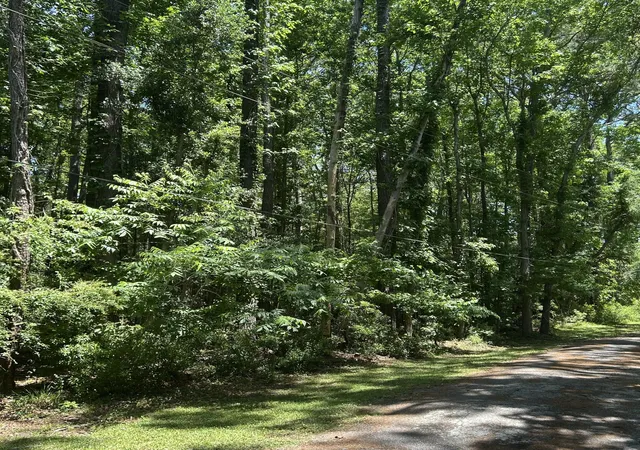 Photo 4 of Land for sale at 0 Pritchard Green Rd, Awendaw, SC 29429 | MLS# 26013614 | Listing updated on 2026-08-31