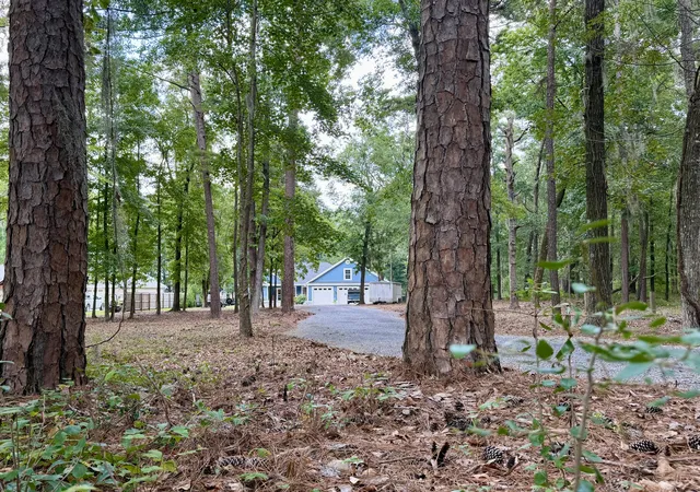 Photo 3 of Single family home for sale at 3 Hickory Landing Ct, Elloree, SC 29047 | MLS# 26023866 | Listing updated on 2026-08-24