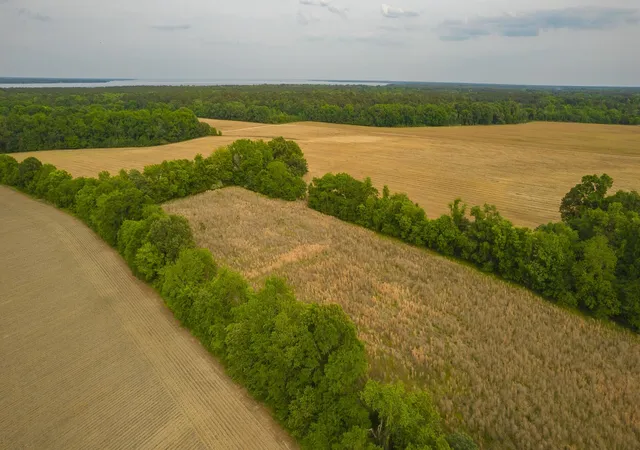 22nd image of 2 Old Number Six Hwy, Vance, SC 29163 | MLS# 26020584