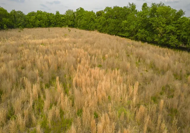 2nd image of 2 Old Number Six Hwy, Vance, SC 29163 | MLS# 26020584