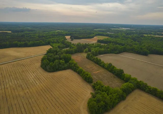 5th image of 2 Old Number Six Hwy, Vance, SC 29163 | MLS# 26020584