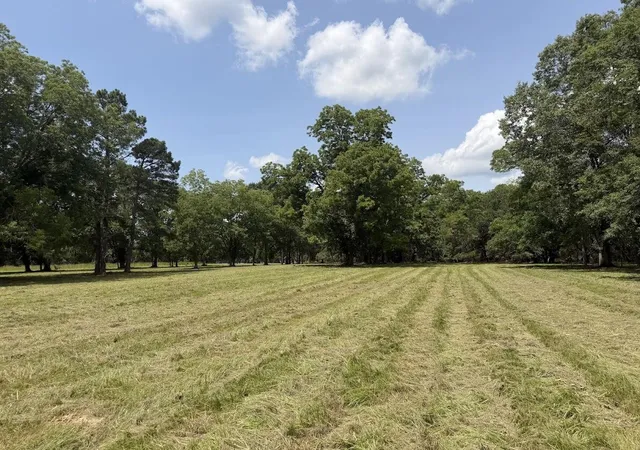 2nd image of 4491 Sc 165, Hollywood, SC 29449 | MLS# 26018760