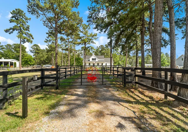Homes for sale in Huger, SC | 115 Chancing Bye Ln, Huger, SC 29450 | MLS# 26013389