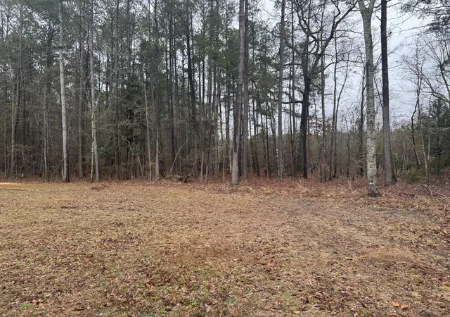 Homes for sale in Eutawville, SC | 165 Ash Hill Dr, Eutawville, SC 29048 | MLS# 26013478