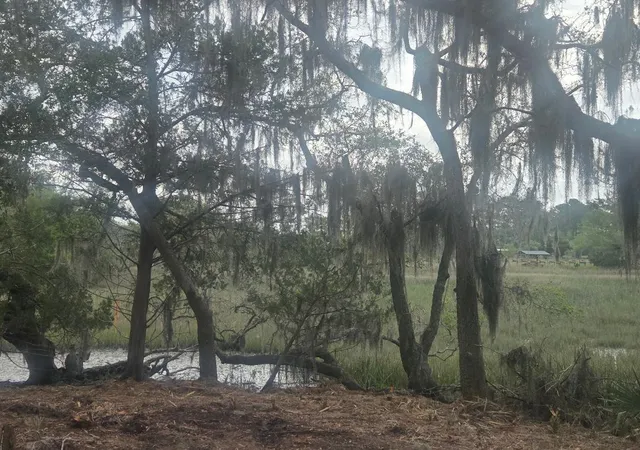 1st image of Lot 5 Hwy 165 Hwy, Hollywood, SC 29449 | MLS# 26015655
