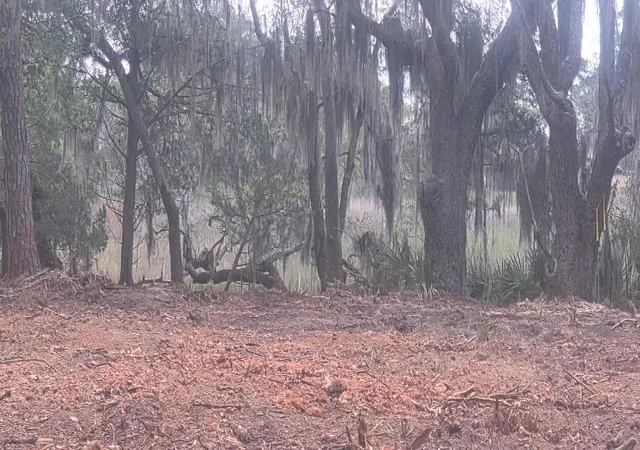 3rd image of Lot 5 Hwy 165 Hwy, Hollywood, SC 29449 | MLS# 26015655
