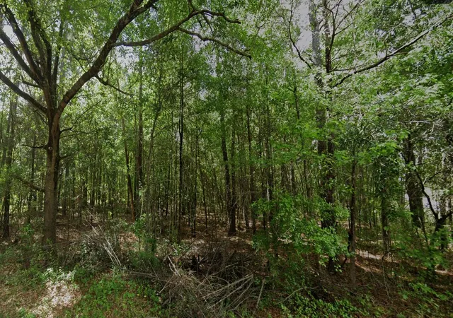 1st image of Tbd Long Branch Rd, Greeleyville, SC 29056 | MLS# 26023365