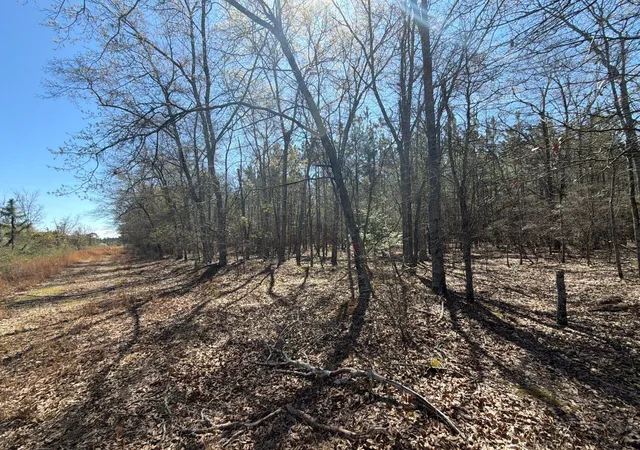 Photo 1 of Land for sale at Bhl 12 Boise Cascade #BHL12, Bethune, SC 29009 | MLS# 26008300 | Listing updated on 2026-03-25