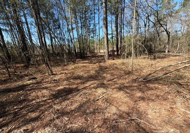 Photo 25 of Land for sale at Bhl 12 Boise Cascade #BHL12, Bethune, SC 29009 | MLS# 26008300 | Listing updated on 2026-03-25