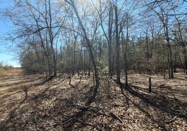 Photo 2 of Land for sale at Bhl 12 Boise Cascade #BHL12, Bethune, SC 29009 | MLS# 26008300 | Listing updated on 2026-03-25