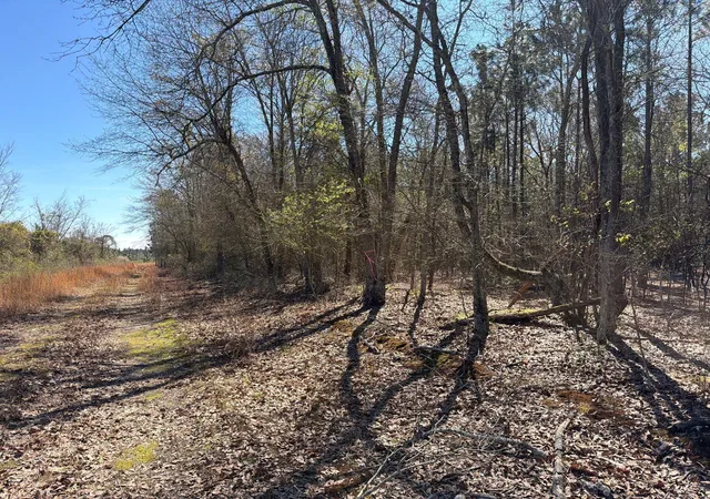 Photo 3 of Land for sale at Bhl 12 Boise Cascade #BHL12, Bethune, SC 29009 | MLS# 26008300 | Listing updated on 2026-03-25