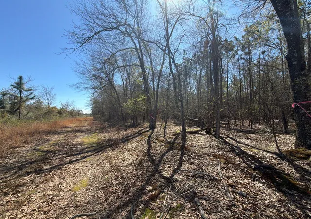 Photo 4 of Land for sale at Bhl 12 Boise Cascade #BHL12, Bethune, SC 29009 | MLS# 26008300 | Listing updated on 2026-03-25