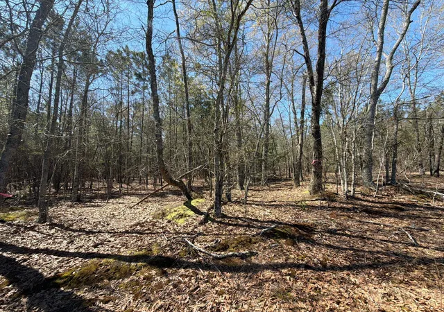 Photo 5 of Land for sale at Bhl 12 Boise Cascade #BHL12, Bethune, SC 29009 | MLS# 26008300 | Listing updated on 2026-03-25