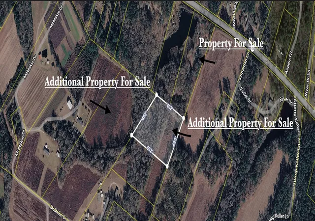 3rd image of 3401 Santee River Rd, Saint Stephen, SC 29479 | MLS# 26018488