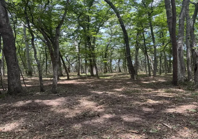 1st image of 00 Beagle Club Rd, Hollywood, SC 29449 | MLS# 26019422