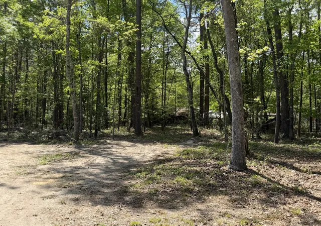 Homes for sale in Eutawville, SC | 115 Ash Hill Dr, Eutawville, SC 29048 | MLS# 26013480