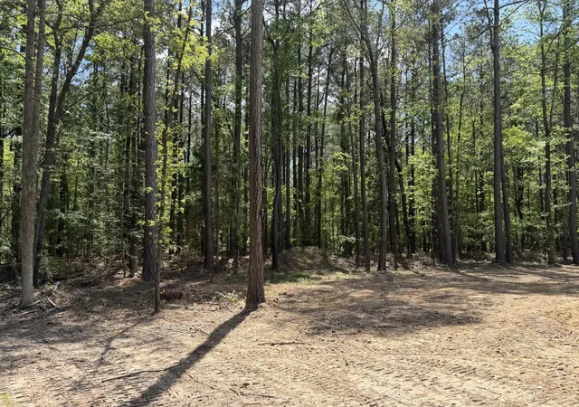 Homes for sale in Eutawville, SC | 115 Ash Hill Dr, Eutawville, SC 29048 | MLS# 26013480