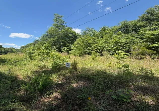2nd image of 0 Park Cir, Branchville, SC 29432 | MLS# 26022184