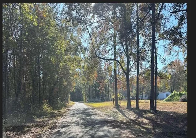 3rd image of 0 Park Cir, Branchville, SC 29432 | MLS# 26022184