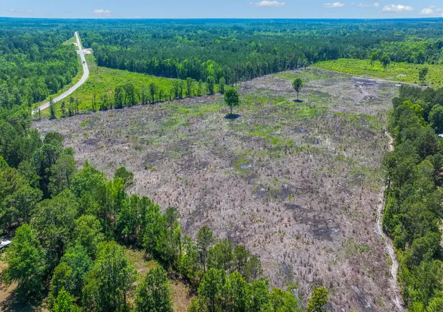 10th image of 0 St Julian Dr, Cross, SC 29436 | MLS# 26015365