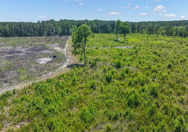1st image of 0 St Julian Dr, Cross, SC 29436 | MLS# 26015365