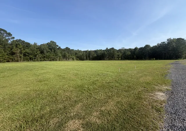 Photo 4 of Land for sale at 6575 Rebecca Beach Ln, Awendaw, SC 29429 | MLS# 26023442 | Listing updated on 2026-09-06