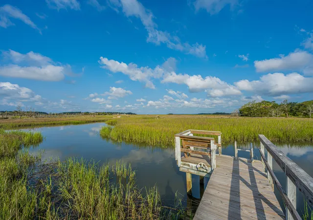 Homes for sale in Edisto Island, SC | 925 Edding Creek Dr, Edisto Island, SC 29438 | MLS# 26019024