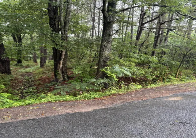 Photo 2 of Land for sale at 00 Murrell Block Dr, Pineville, SC 29468 | MLS# 26016725 | Listing updated on 2026-08-26