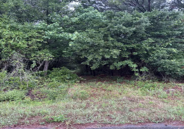 Photo 3 of Land for sale at 00 Murrell Block Dr, Pineville, SC 29468 | MLS# 26016725 | Listing updated on 2026-08-26