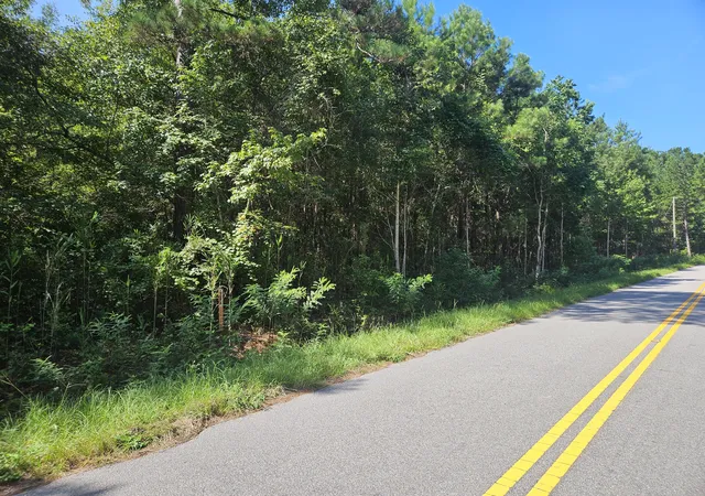 1st image of 0 Porcher School Rd, Awendaw, SC 29429 | MLS# 26022300