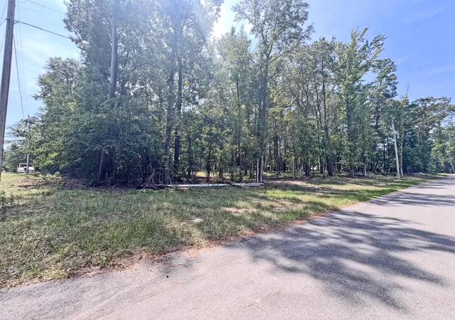 Photo 4 of Land for sale at 0 Summerford, Manning, SC 29102 | MLS# 26023687 | Listing updated on 2026-08-20