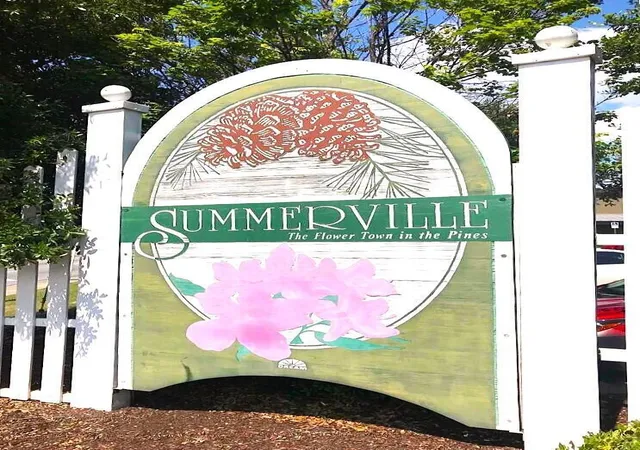 Photo 3 of Sale Pending at 217 Seele St, Summerville, SC 29485 | MLS# 25015278 | Listing updated on 2026-08-04