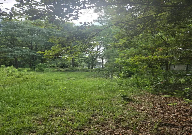 2nd image of 0 N Hampton St, Summerville, SC 29485 | MLS# 26017644