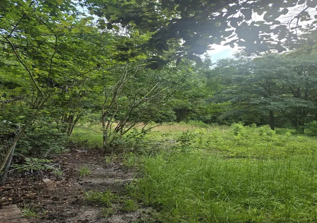 Photo 3 of Land for sale at 0 N Hampton St, Summerville, SC 29483 | MLS# 26017644 | Listing updated on 2026-09-02