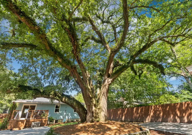 Photo 4 of Single family home for sale at 5114 Braddock Ave, North Charleston, SC 29405 | MLS# 26020099 | Listing updated on 2026-09-06