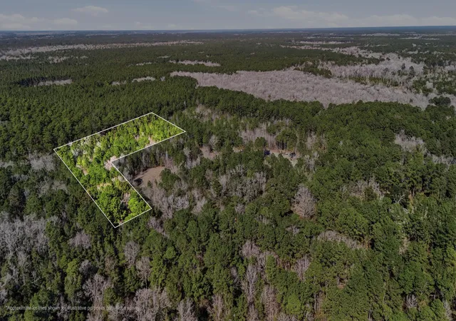 Photo 2 of Land for sale at 00 Gertie Ln, Cordesville, SC 29434 | MLS# 26003950 | Listing updated on 2026-06-26
