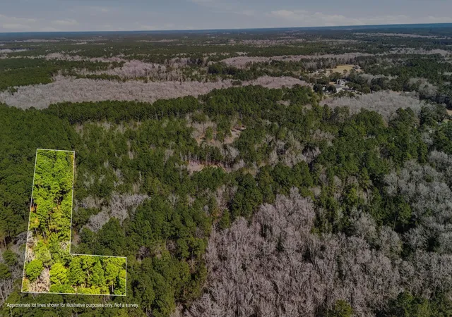 Photo 3 of Land for sale at 00 Gertie Ln, Cordesville, SC 29434 | MLS# 26003950 | Listing updated on 2026-06-26