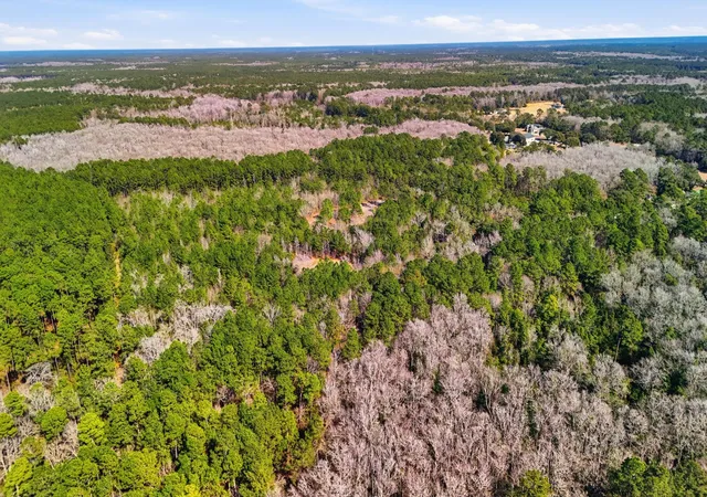 Photo 4 of Land for sale at 00 Gertie Ln, Cordesville, SC 29434 | MLS# 26003950 | Listing updated on 2026-06-26