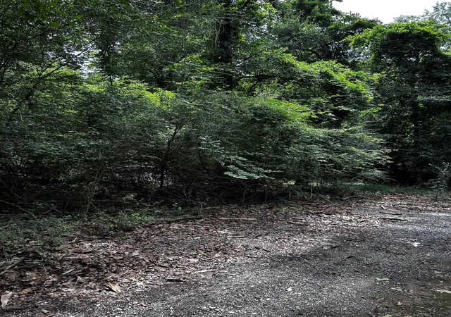 Photo 3 of Land for sale at 0 Varner Ridge Ln, Ridgeville, SC 29472 | MLS# 26015025 | Listing updated on 2026-06-20