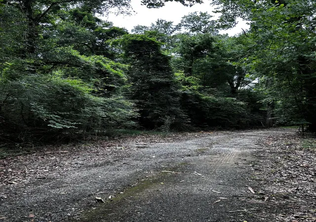 Photo 4 of Land for sale at 0 Varner Ridge Ln, Ridgeville, SC 29472 | MLS# 26015025 | Listing updated on 2026-06-20