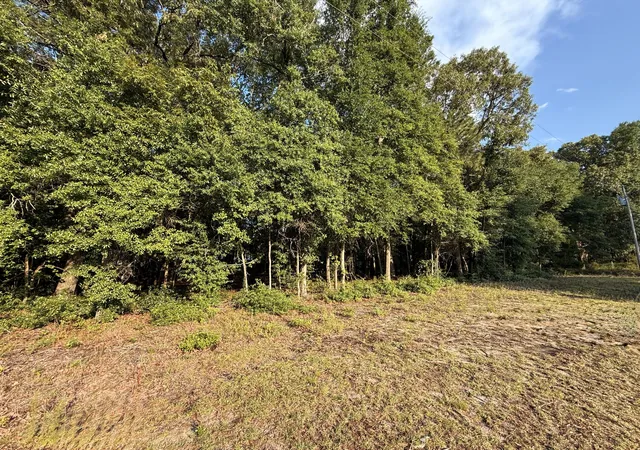 Homes for sale in Summerton, SC | 100 Triangle Dr, Summerton, SC 29148 | MLS# 26017122