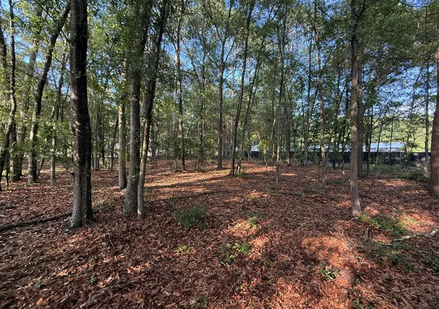 Homes for sale in Summerton, SC | 100 Triangle Dr, Summerton, SC 29148 | MLS# 26017122