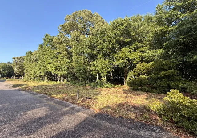 Homes for sale in Summerton, SC | 100 Triangle Dr, Summerton, SC 29148 | MLS# 26017122