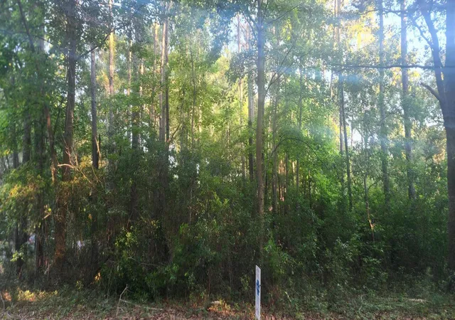2nd image of 0 Legareville Rd, Johns Island, SC 29455 | MLS# 26016282