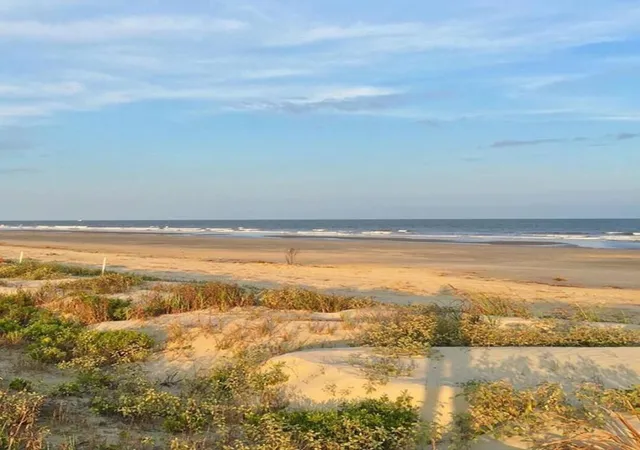 55th image of 3634 Berryhill Rd, Johns Island, SC 29455 | MLS# 26002030