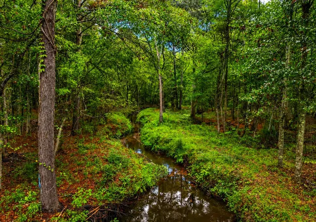 2nd image of 746 Wilson Cemetery Rd, Awendaw, SC 29429 | MLS# 26017185