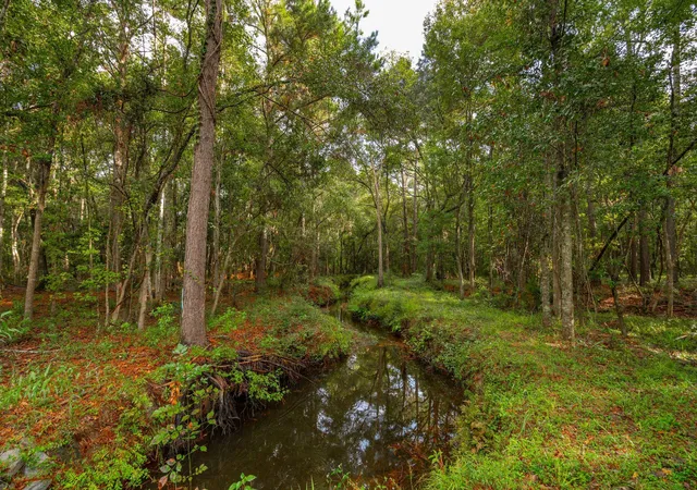 4th image of 746 Wilson Cemetery Rd, Awendaw, SC 29429 | MLS# 26017185
